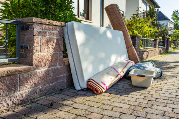 Best Basement Cleanout Services  in Mcalmont, AR